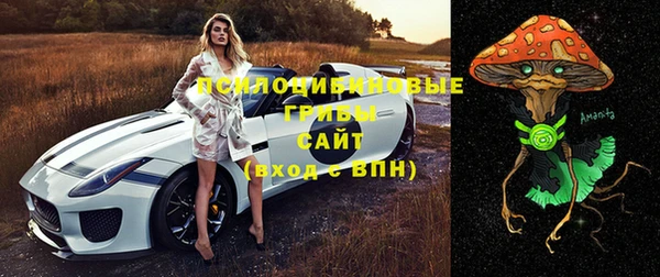 MDMA Premium VHQ Карпинск