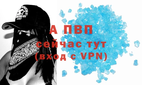 СК Елизово