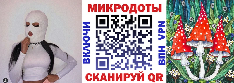 Псилоцибиновые грибы мицелий Ряжск